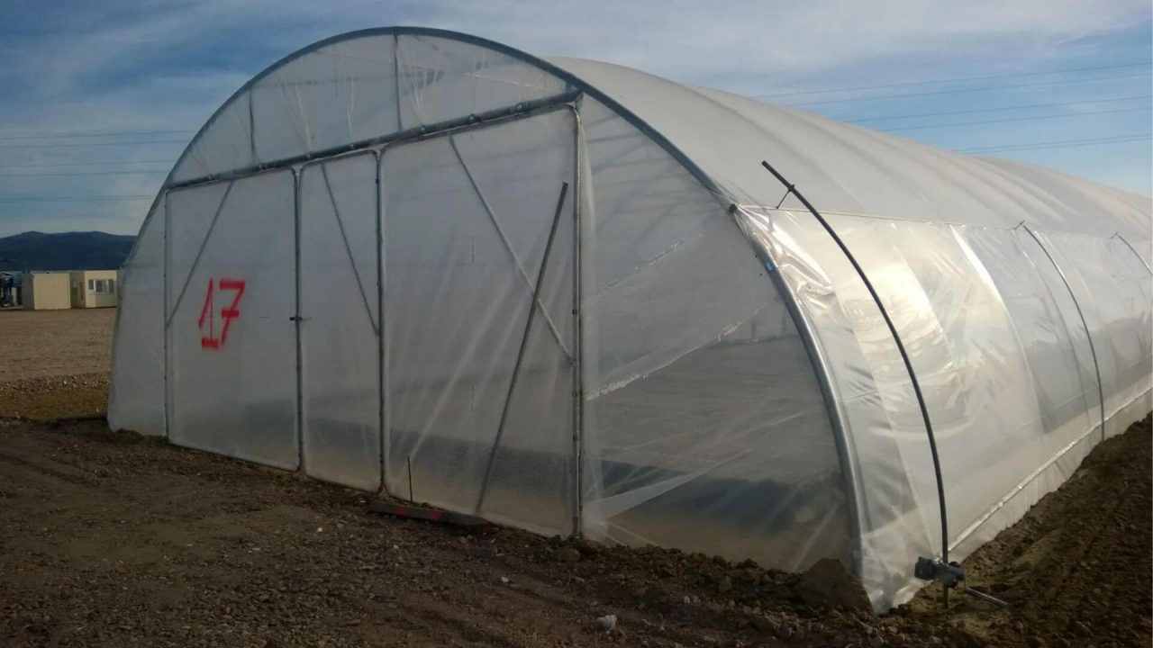 Folientunnel mit runder Stehwand