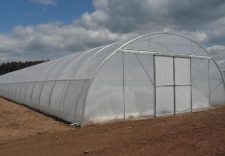 Folientunnel mit runder Stehwand von außen