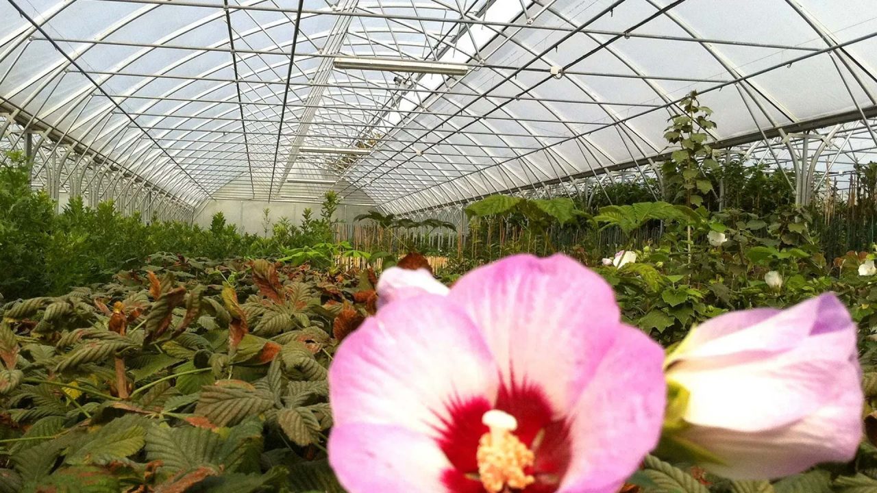 Gartenbautechnik von Exner Grüne Technik
