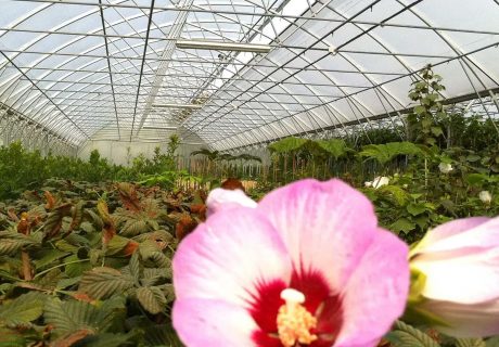 Gartenbautechnik von Exner Grüne Technik