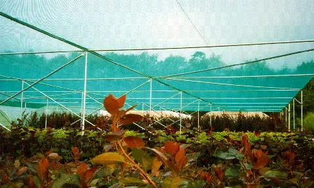 Demontierbare Schattenhalle AGRO 640