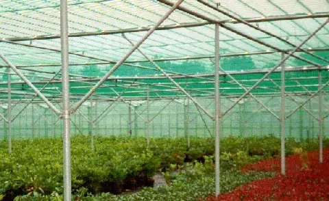 Demontierbare Schattenhalle AGRO 640