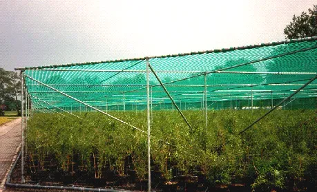 Demontierbare Schattenhalle AGRO 640