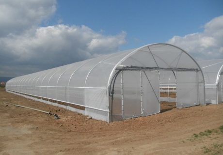 Folientunnel von Exner Grüne Technik