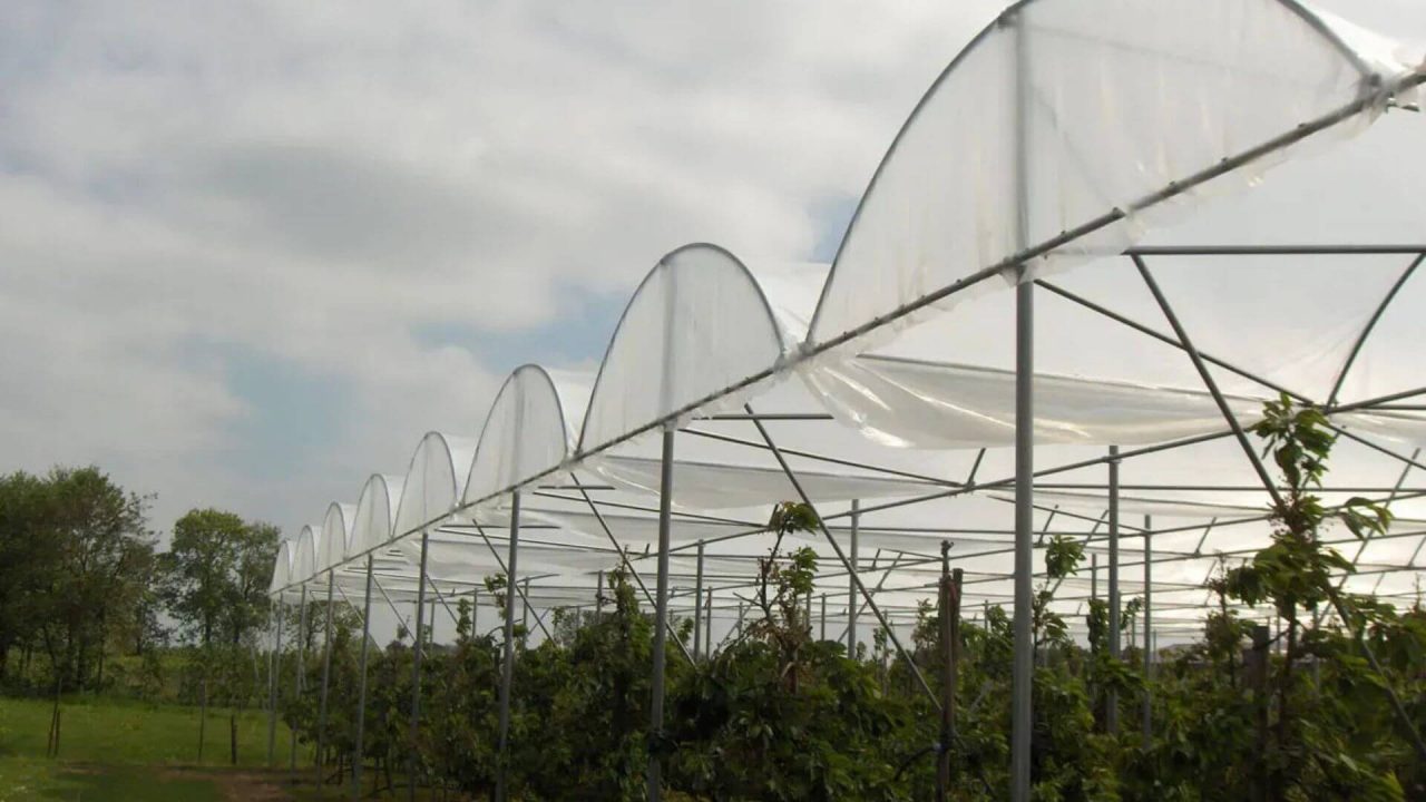 RAIN Folienüberdachung für Gartenbau