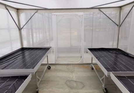 Insektenschutz Gartenbau von innen