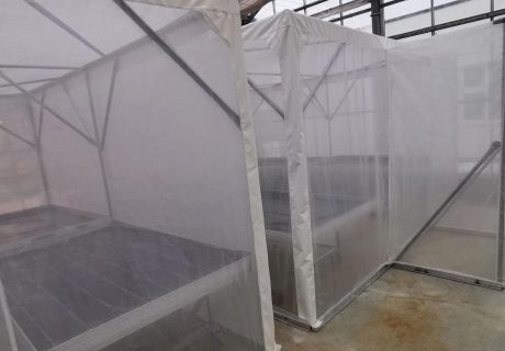Kulturschutznetze für den Gartenbau