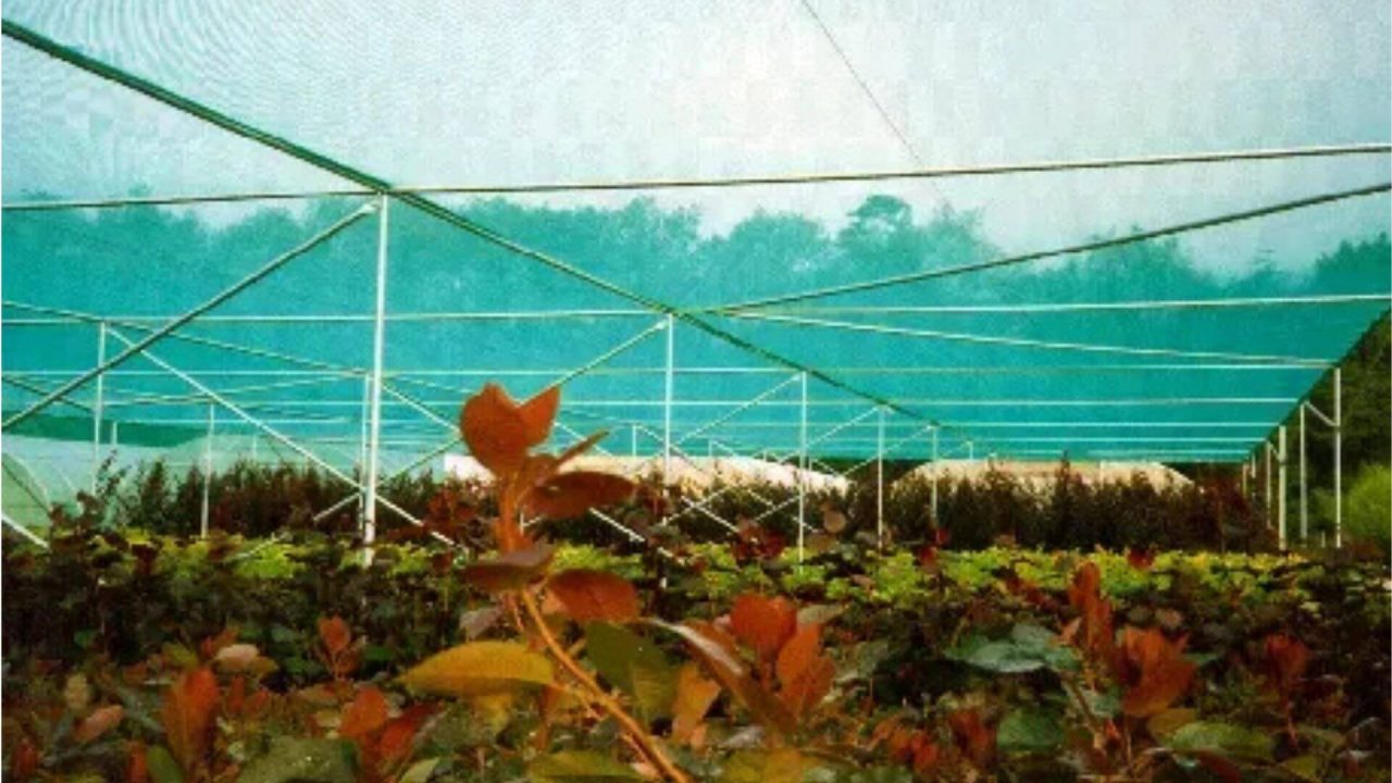 Schattenhalle AGRO Quick