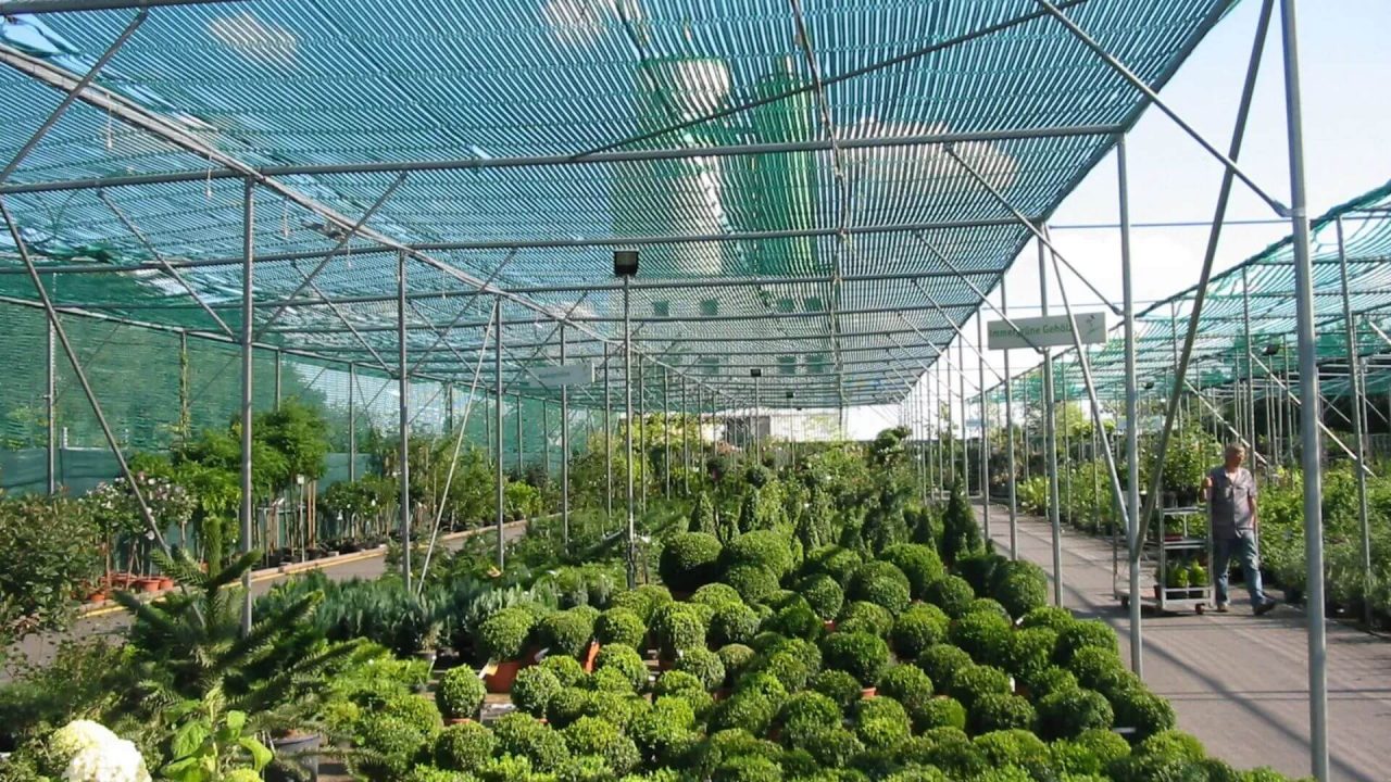 Schattenhalle mit Gewächsen