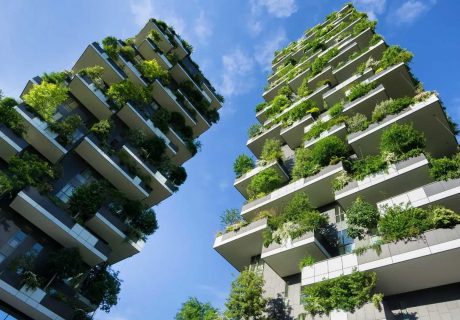 Urban Farming / Bepflanzung Hochhäuser