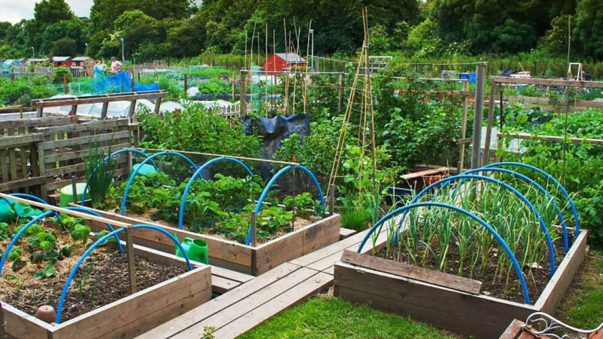 Urban Farming Garten