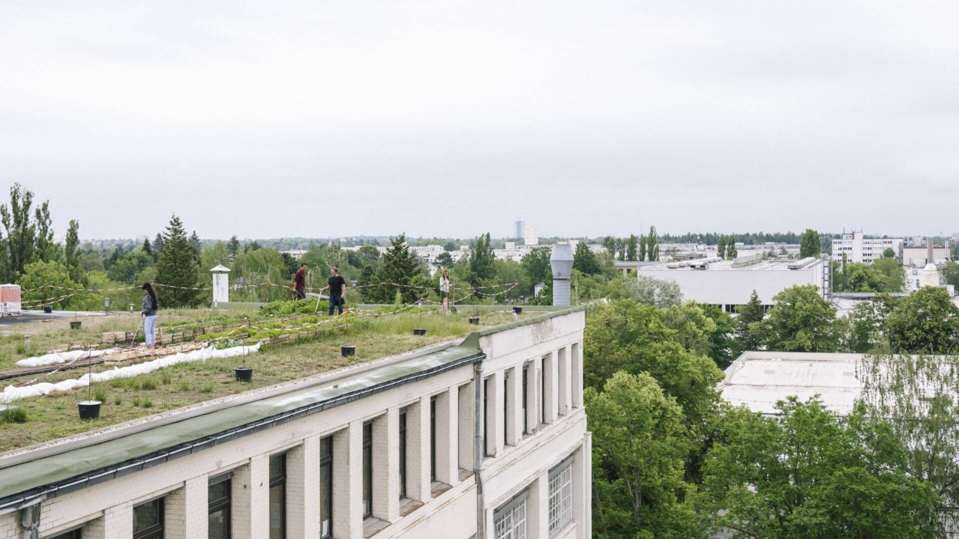 Urban Farming Plantage auf Haus