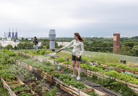 Frau gießt Plantage auf Dach