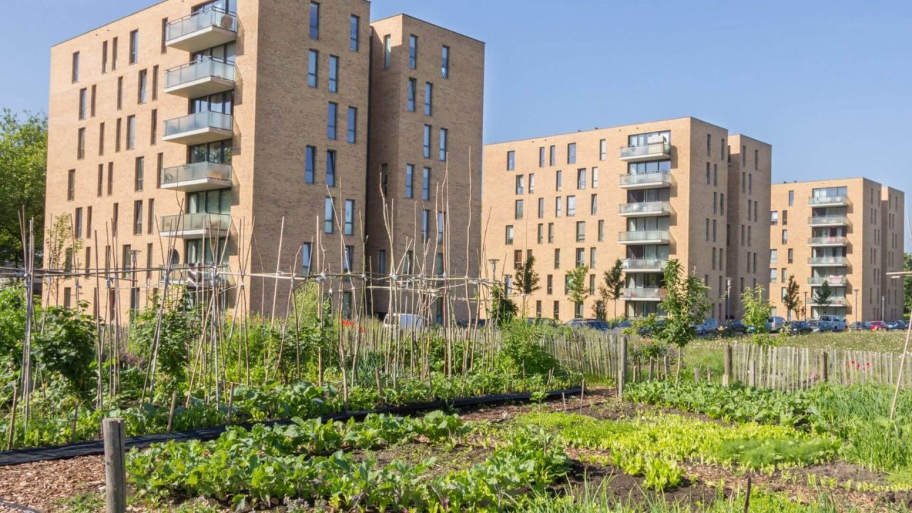 Wohnsiedlung mit Urban Farming
