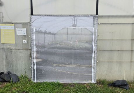 Insektenschutz / Kulturschutznetz