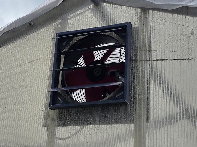 Ventilatoren für Pflanzengesundheit, eingebaut im Gewächshaus