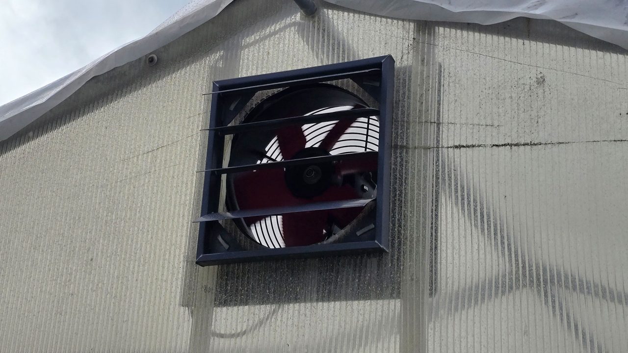 Ventilatoren für Pflanzengesundheit, eingebaut im Gewächshaus